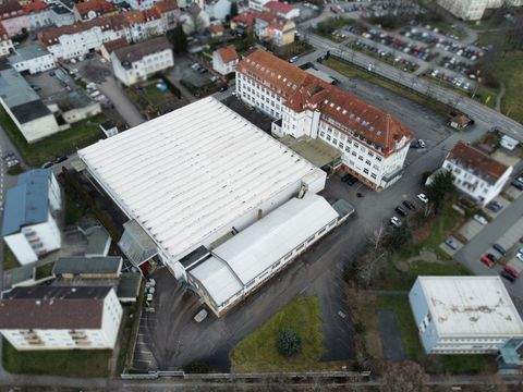 Pirmasens Halle, Pirmasens Hallenfläche