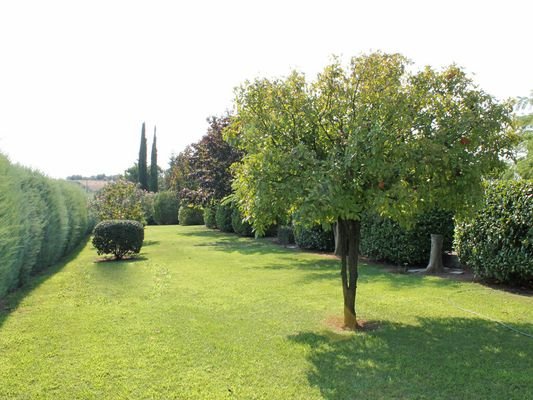 Bild 16