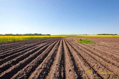 Straßwalchen Grundstücke, Straßwalchen Grundstück kaufen