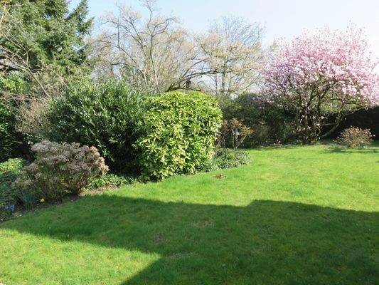 Blick auf das weitläufige Grundstück