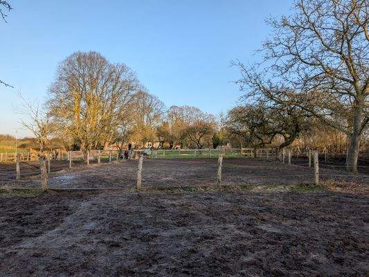 großer Paddockbereich