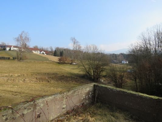 Ausblick vom unteren Teil des Grundstücks 