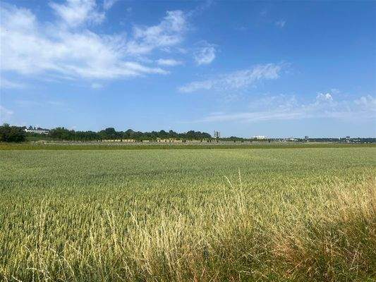 Weitblick vom Balkon