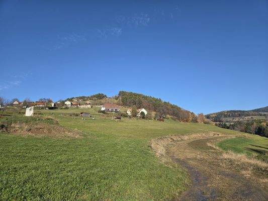 WhatsApp Image 2025-11-20 at 12.36.38 (2).jpeg