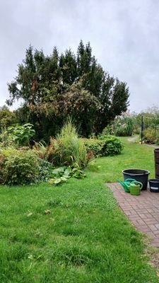 Gartensicht