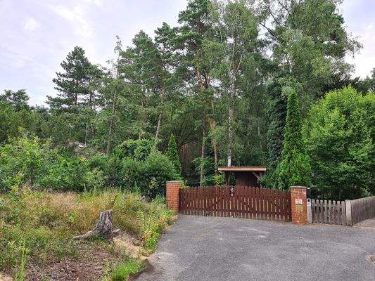 Grundstückszufahrt mit Tor