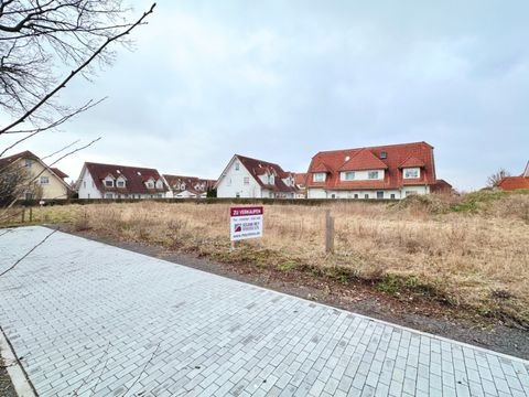 Belgershain Grundstücke, Belgershain Grundstück kaufen