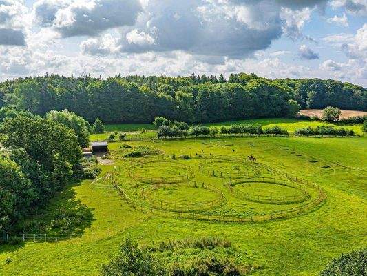 Honeycomb mit 4 Roundpens.jpg