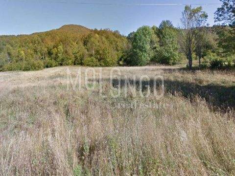 Mrkopalj Bauernhöfe, Landwirtschaft, Mrkopalj Forstwirtschaft