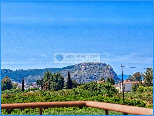 a710472fb6d842aab40e53e2d36e6123-original