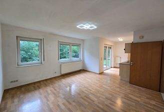 Wohnzimmer/Küche