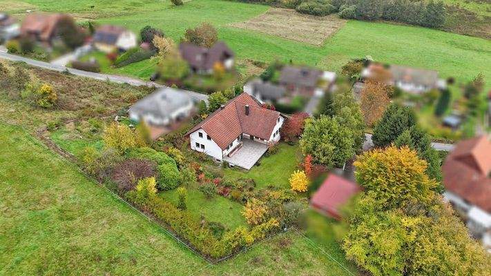 Traumgarten mit vielen Bäumen und Sträuchern