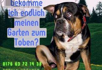 1betteln
