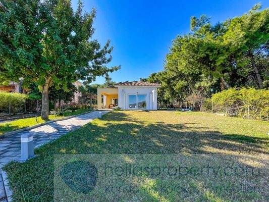 img_6283b66f-b8ef-46ae-93f7-9d0fb7a5adb9