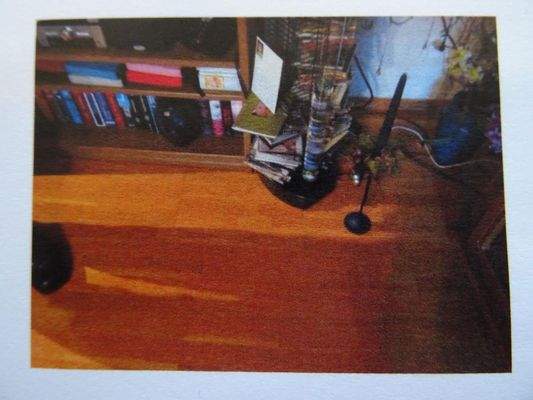 Parkettboden Wohnzimmer