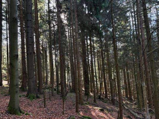 2025-11-05 10.21.50.jpg