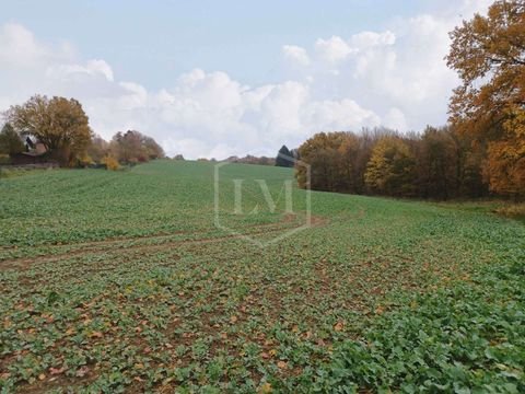 Hennef (Sieg) Bauernhöfe, Landwirtschaft, Hennef (Sieg) Forstwirtschaft