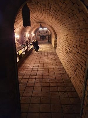 Weinkellerröhre
