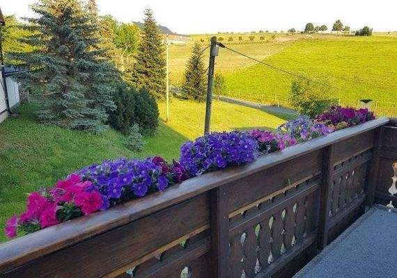 Blick vom Südbalkon 1.OG