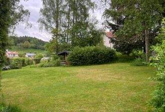 Baugrundfoto mit Baumbestand