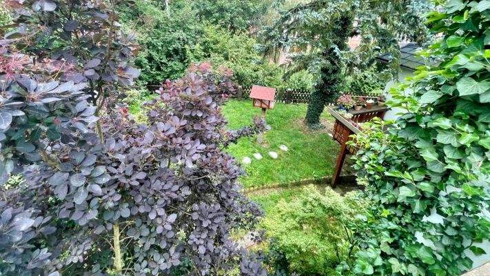 Blick in den Garten 