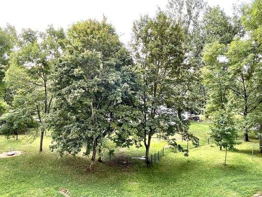 Ausblick zur Gartenseite