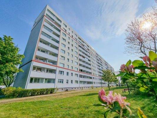 Ansicht Balkonseite des Objektes