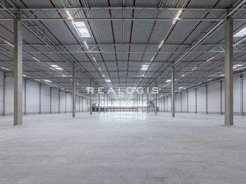 Hamburg Halle, Hamburg Hallenfläche