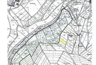 Flur- Katasterkarte Grundstück landwirtschaftl. Fl