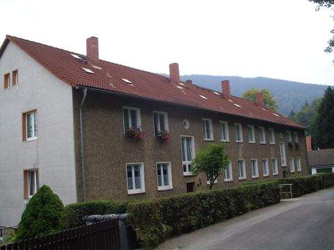 Ilsenburg Wohnungen, Ilsenburg Wohnung kaufen