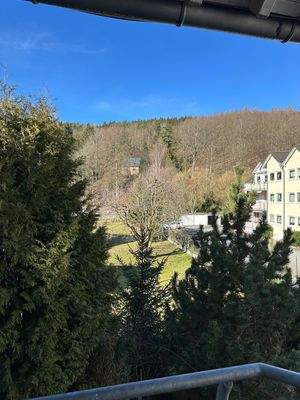 Blick vom Balkon in Natur