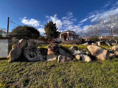 Limpiddu, Budoni - Sardinien Häuser, Limpiddu, Budoni - Sardinien Haus kaufen