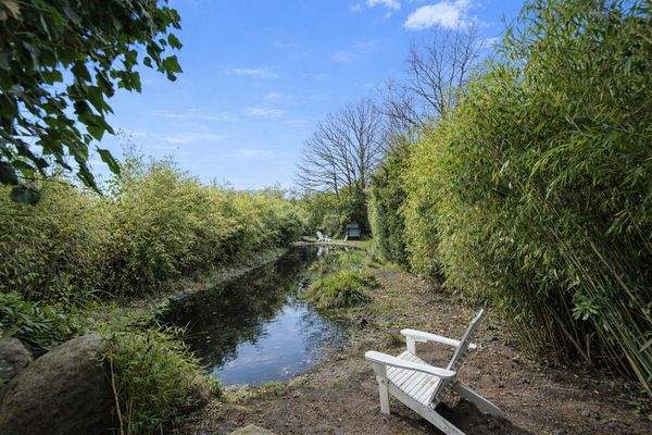 Eigener Naturteich - eine kleine Oase