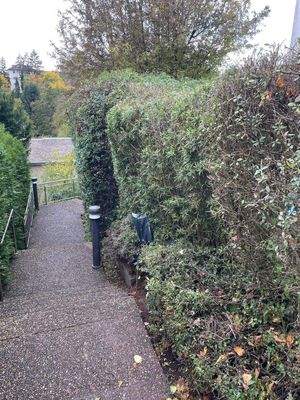 Treppe nach unten ab Eingang.jpg