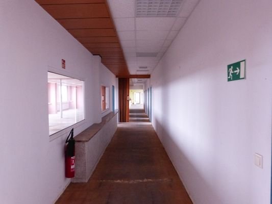 P1070246.JPG