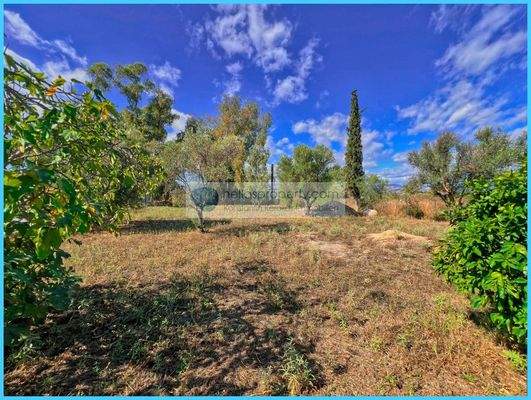 2d162d227c9f4ea89afe804035ba18d4-original