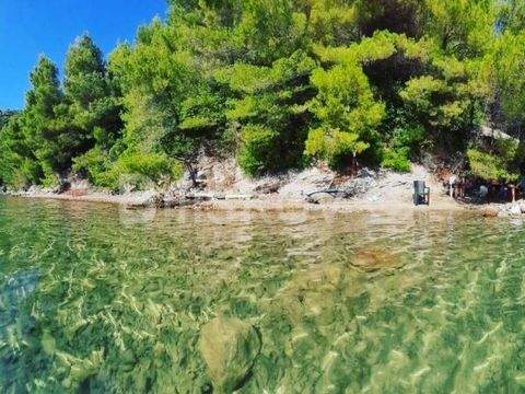 Ston Bauernhöfe, Landwirtschaft, Ston Forstwirtschaft