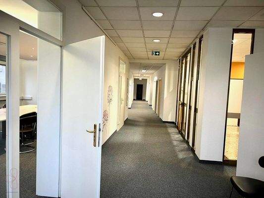 ea6e0161-ba76-413d-b737-0538980e0dce