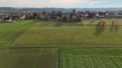 Haag an der Amper Bauernhöfe, Landwirtschaft, Haag an der Amper Forstwirtschaft