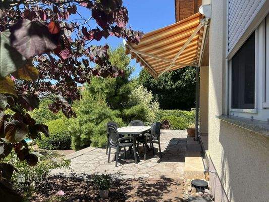 Ausgang in den Garten vom vom WZ