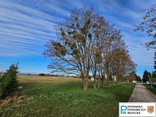 11 Anliegerstraße in den Ort R. Nord.jpg