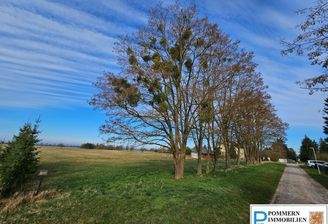 11 Anliegerstraße in den Ort R. Nord.jpg