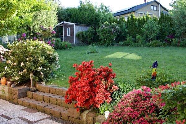 Gartenimpressionen Sommer (4).jpg