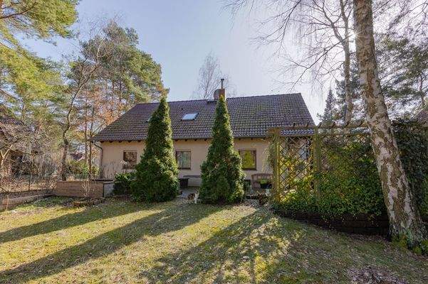 Ruhiger Blick ins Grüne