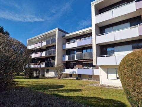 Steinheim Wohnungen, Steinheim Wohnung kaufen