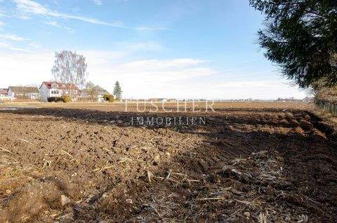 Anzing Bauernhöfe, Landwirtschaft, Anzing Forstwirtschaft