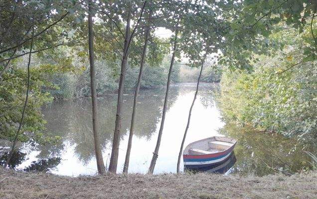 Zu pachtender eigener Teich mit Ruderboot