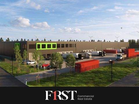 Geeste-Dalum Halle, Geeste-Dalum Hallenfläche