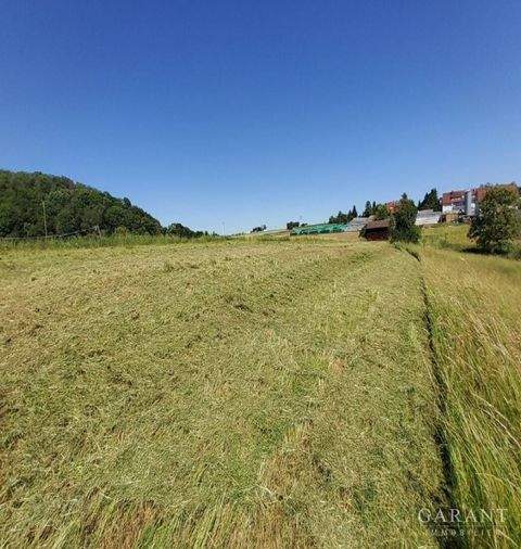 Korntal-Münchingen Bauernhöfe, Landwirtschaft, Korntal-Münchingen Forstwirtschaft