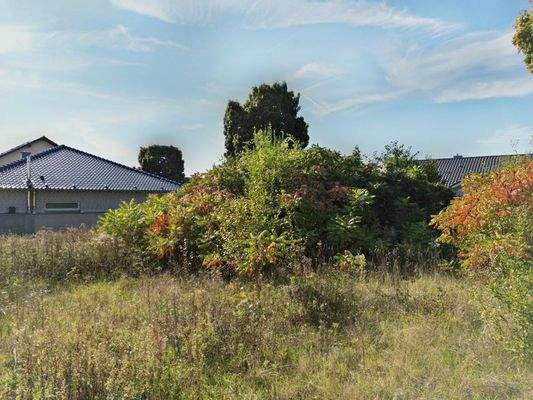 Blick auf dem Grundstück